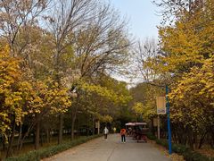 -森林公园(尖草坪区)