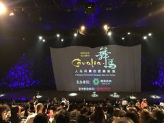 -cavalia·舞马