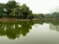 -石湾公园