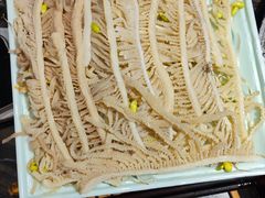 -杨肥肠火锅大排档(火车站花园店)
