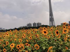 -海心沙亚运公园