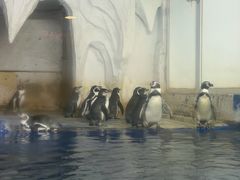 -太平洋海底世界