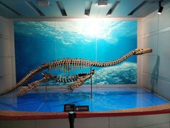 -自贡恐龙博物馆