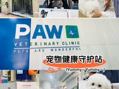 -佩兹宠物医院肿瘤专科·眼科·牙科(黄浦店)