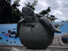 -广东惠东海龟国家级自然保护区