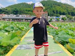 -红山村