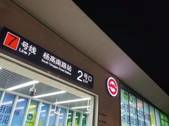 -杨高南路(地铁站)