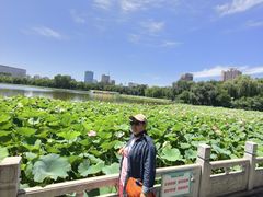 -莲花池公园