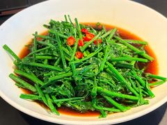 抽炝五指山野菜-红厨巷·淮扬菜(熙南里店)