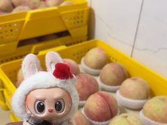 -老袁家蜜桃农场·阳山水蜜桃