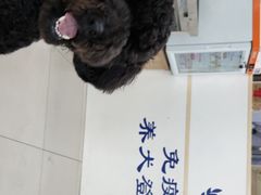 -申普宠物医院·眼科·心内科·影像科(普陀分院)