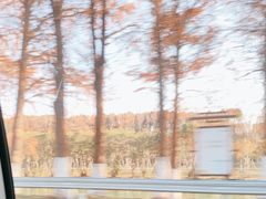 -昆山城市生态森林公园