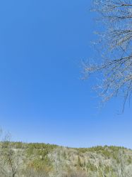 -浅山蜜塘奇妙乐园·亲子营地