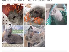 -爱诺耐芙动物医院(万博店)