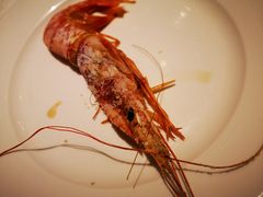 -青岛颐海花园酒店总店·自助餐厅