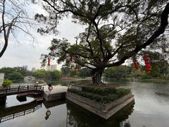 -荔湾湖公园