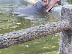 -昆明动物园