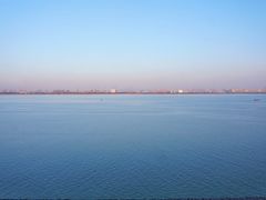 -大湾区中央湿地公园