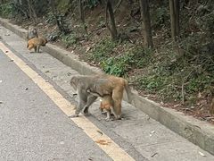 -黔灵山公园