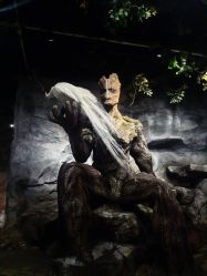 -Zoolung Zoolung动物主题公园(海信广场店)