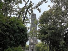 -上海佘山国家森林公园天马山园