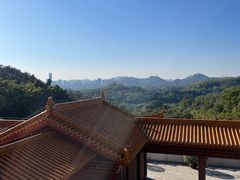 -深圳仙湖植物园
