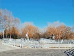 -大兴滨河森林公园