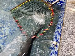 -陈大锅·岳阳鱼馆·地道岳阳菜(美食街店)