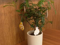 -CURRY YA 熟成咖哩專門店(深圳湾万象城店)