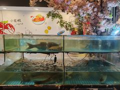 -特色酱椒鱼私房菜(黄鹤楼店)