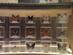 -博林天瑞喜来登酒店·西丽尚膳