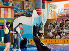 -海合安武汉极地海洋公园