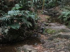 -滴水岩森林公园