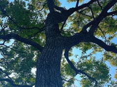 -Manner Coffee(大宁国际商业广场店)