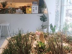 -春树下·树屋花房西餐厅(罍街AS1980店)