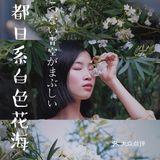 魔都攻略｜藏在大学校园的白色小众花海，超清新超日系！