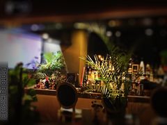 -TiKi餐厅酒吧