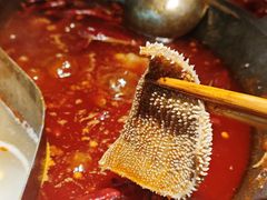 -阳阳老火锅(小南门店)