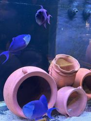 -Zoolung Zoolung动物主题公园(海信广场店)