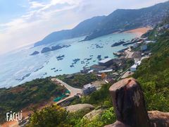 -枸杞岛