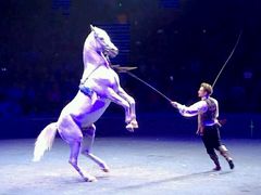 -珠海横琴长隆《卡卡虎奇遇记》