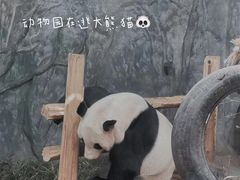-深圳野生动物园
