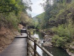 -梁野山景区