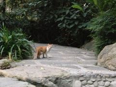 iphone_upload_pic-广州珠江公园