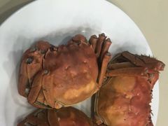 -王宝和酒家(黄浦店)