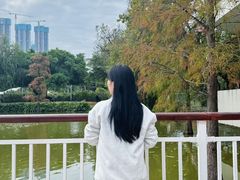 -人民公园(罗湖区)