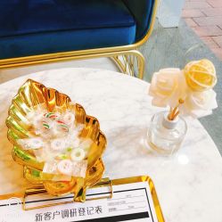-DEM缔怡美科技美容
