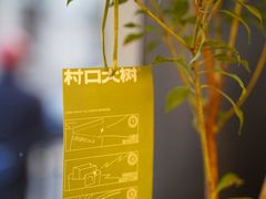 -村口大树(长乐路店)