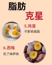 -Fundi张玉珊修身堂·indiba·BTL科技瘦身