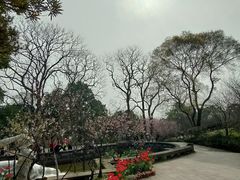 -南山植物园